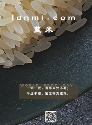 lanmi.com